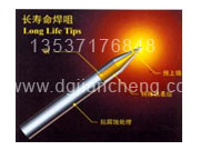 长寿烙铁头